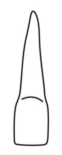 tooth 10