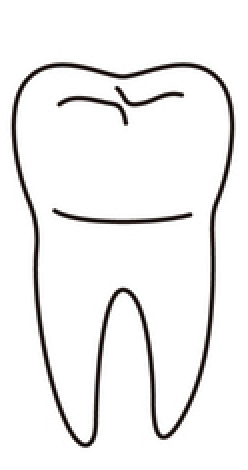 tooth 18