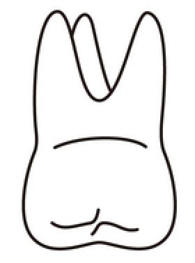 tooth 3