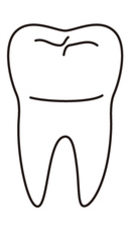 tooth 32